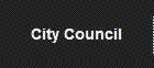 City Council